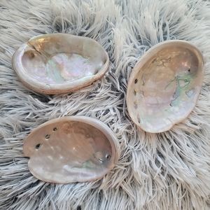 Set of 3 Real Abalone Shells- Smudging- Sage
